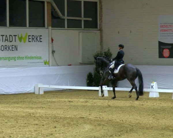 Reitturnier Borken 2024