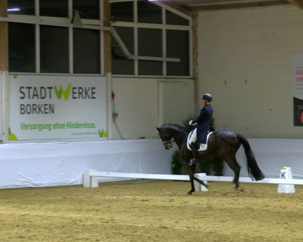 Reitturnier Borken 2024