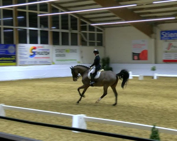 Reitturnier Borken 2024