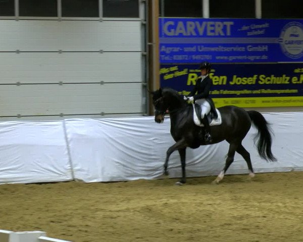 Reitturnier Borken 2024