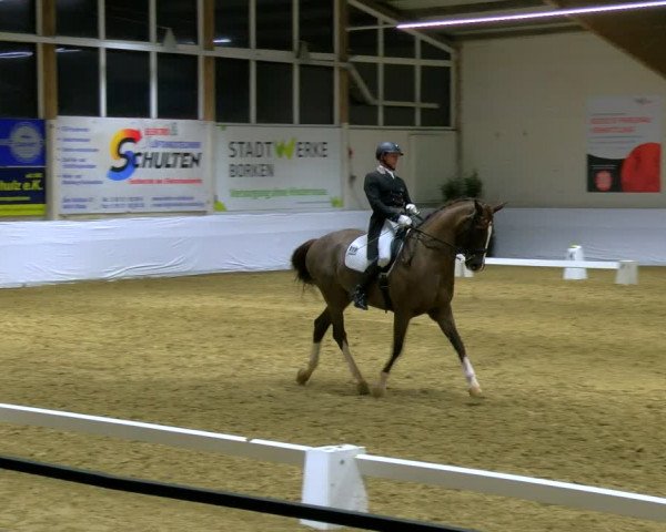 Reitturnier Borken 2024