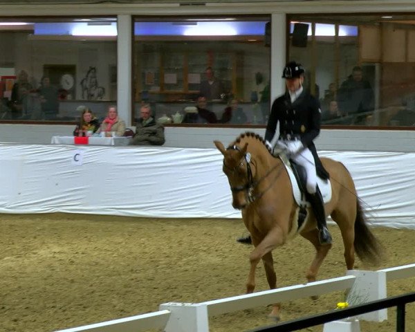 Reitturnier Borken 2024