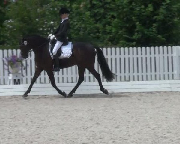 Riesenbeck INTERNATIONAL 2011