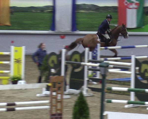 Reitturnier Legden 2024