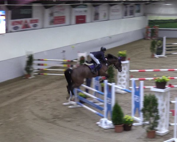 Reitturnier Legden 2024