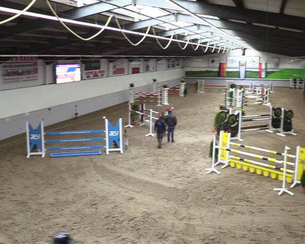Reitturnier Legden 2024