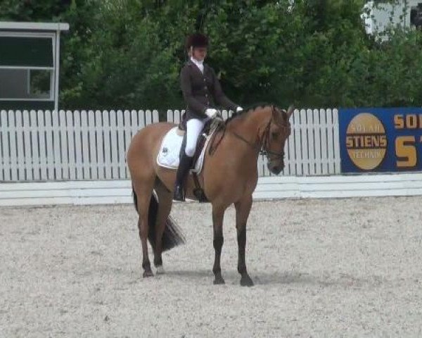 Riesenbeck INTERNATIONAL 2011