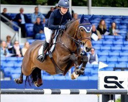 jumper Obert vd Heffinck (Belgian Warmblood, 2014, from Jamal Vd Heffinck)