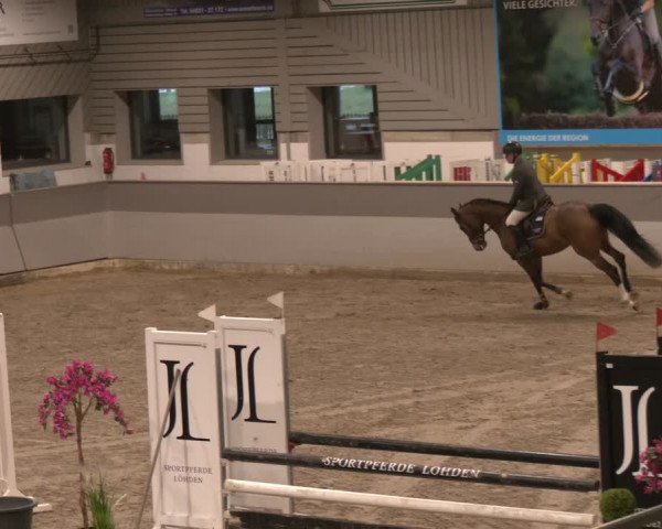 Reitturnier Luhmühlen 2024