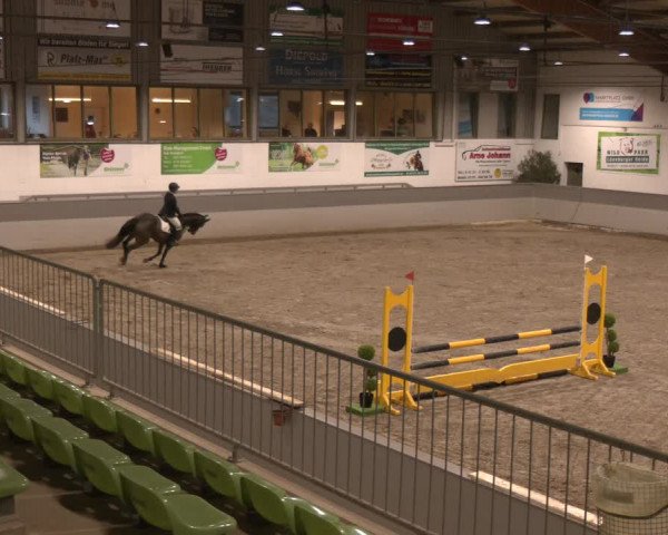 Reitturnier Luhmühlen 2024