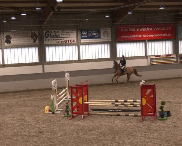 Reitturnier Luhmühlen 2024