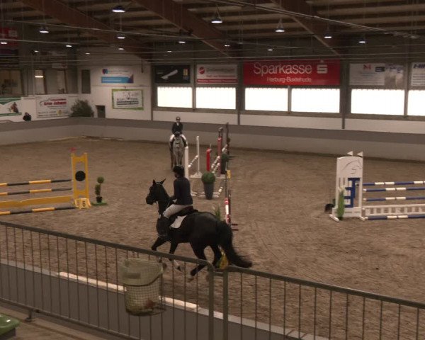 Reitturnier Luhmühlen 2024