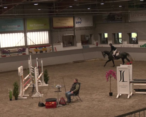 Reitturnier Luhmühlen 2024