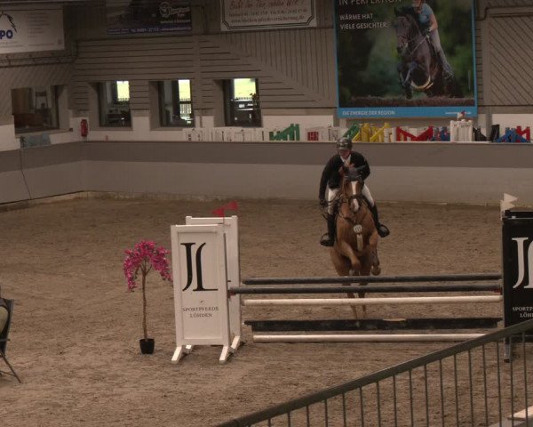 Reitturnier Luhmühlen 2024