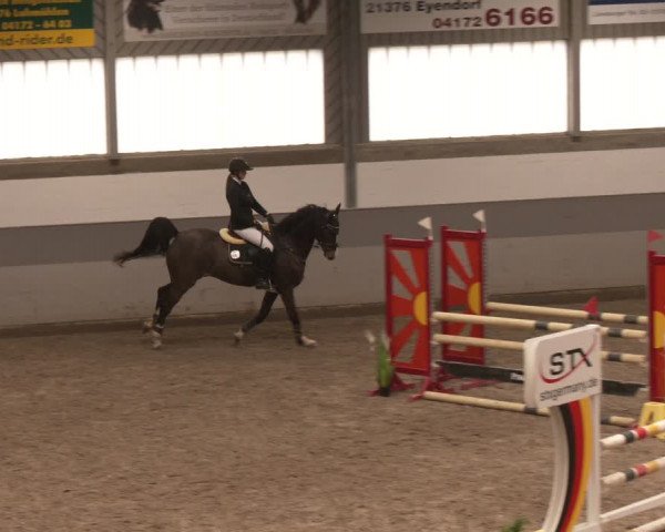 Reitturnier Luhmühlen 2024
