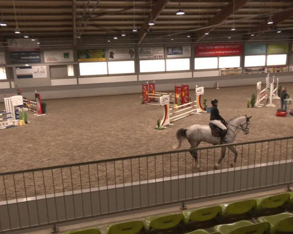 Reitturnier Luhmühlen 2024