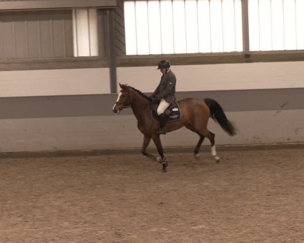 Reitturnier Luhmühlen 2024