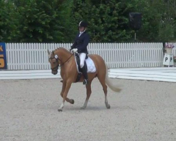 Riesenbeck INTERNATIONAL 2011