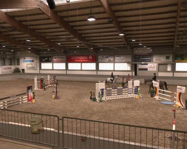 Reitturnier Luhmühlen 2024