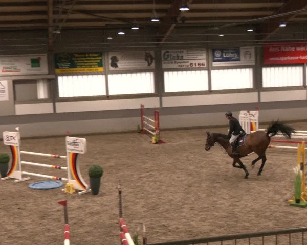 Reitturnier Luhmühlen 2024