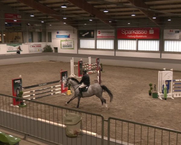 Reitturnier Luhmühlen 2024