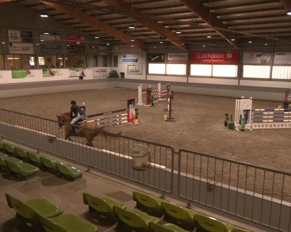Reitturnier Luhmühlen 2024