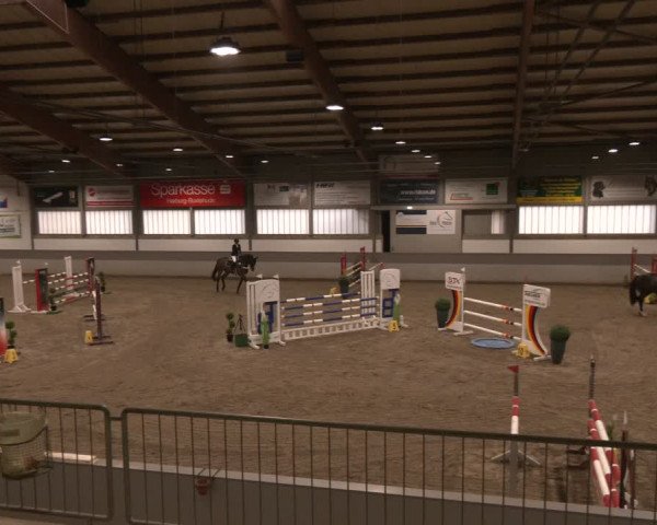 Reitturnier Luhmühlen 2024