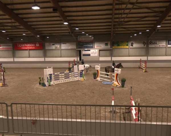 Reitturnier Luhmühlen 2024