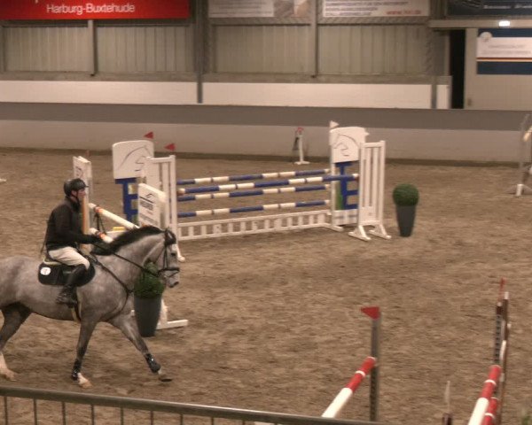 Reitturnier Luhmühlen 2024