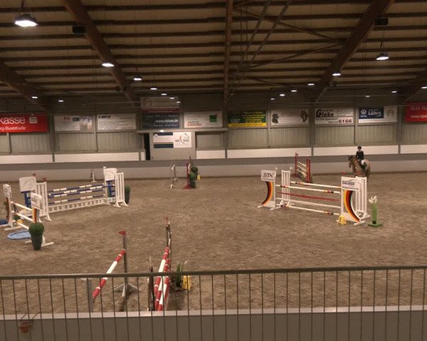 Reitturnier Luhmühlen 2024