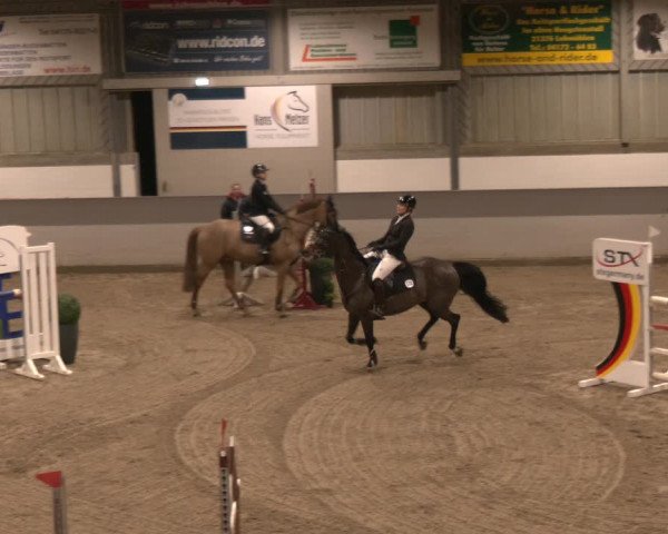 Reitturnier Luhmühlen 2024