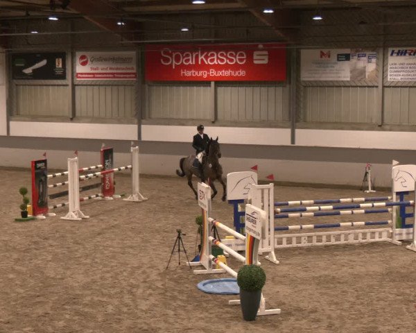 Reitturnier Luhmühlen 2024