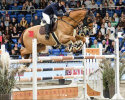 jumper Graal (Finnish Warmblood, 2008, from Argentinus)
