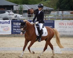 dressage horse Lenteblom's Pleasure (Welsh-Pony (Section B), 2008, from Linde Hoeve's Optimist)