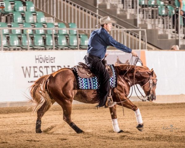 Deckhengst IM a Rough Boy (Quarter Horse, 2016, von Smart Chic Olena)