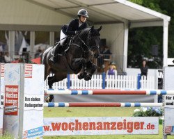 broodmare Neugschwent's Diarella (Oldenburg show jumper, 2010, from Diarado)