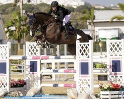 jumper Kay One 4 (Holsteiner, 2015, from Kannan)