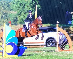 jumper Chichen Itza CH (Swiss Warmblood, 2015, from Felton VDL)