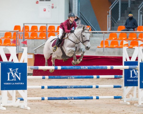 jumper Marika (Polish Warmblood, 2010, from Cantanis)