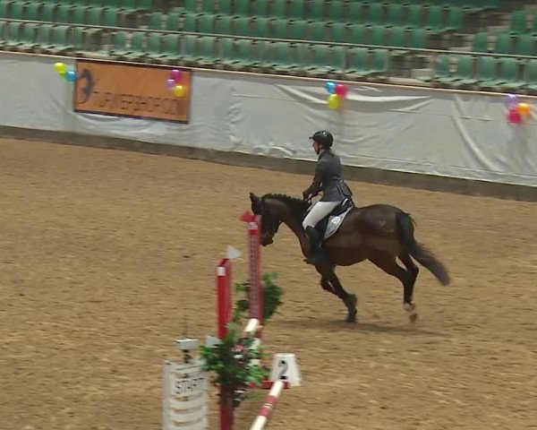 Reitturnier Kreuth/Opf. 2024