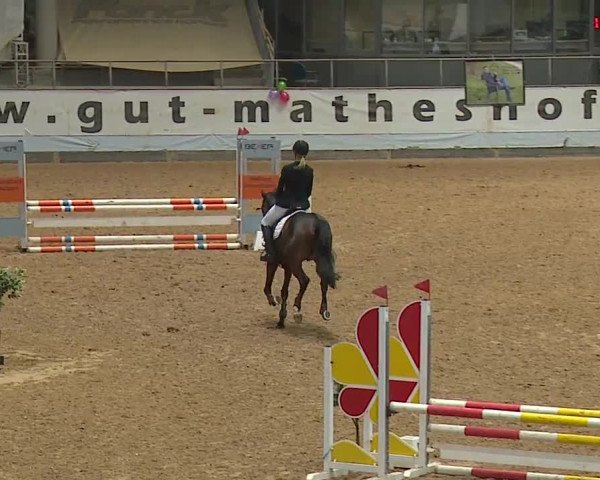 Reitturnier Kreuth/Opf. 2024