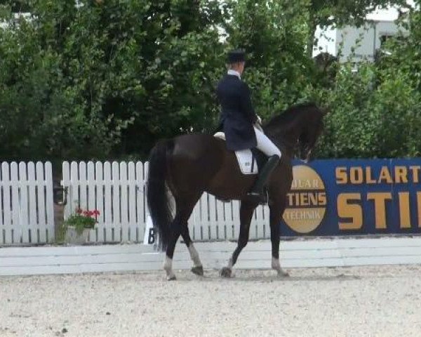 Riesenbeck INTERNATIONAL 2011