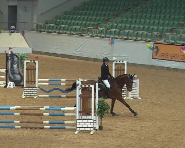 Reitturnier Kreuth/Opf. 2024