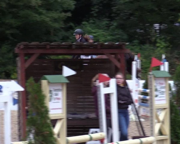 Reitturnier Albersdorf Dithmarsenpark 2021