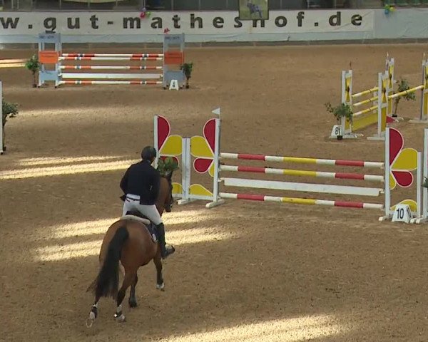 Reitturnier Kreuth/Opf. 2024