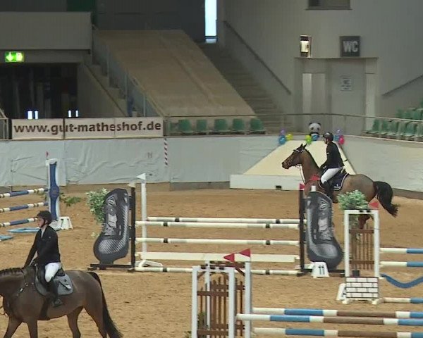 Reitturnier Kreuth/Opf. 2024