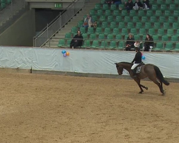 Reitturnier Kreuth/Opf. 2024