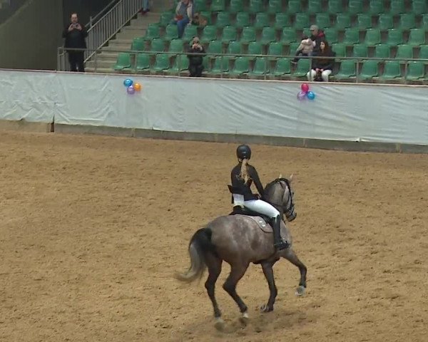 Reitturnier Kreuth/Opf. 2024