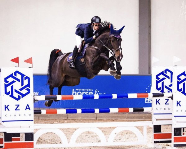 jumper Dark Fire (Holsteiner, 2016, from Darcodello)
