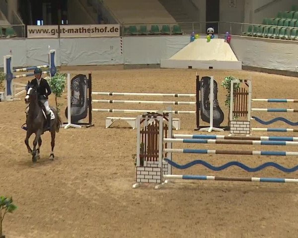 Reitturnier Kreuth/Opf. 2024